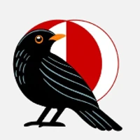 Middle East Technical University - Applied NLP Lab's profile picture