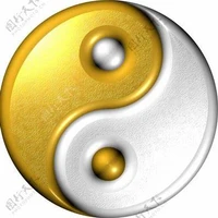 Ruiyang Xu's profile picture