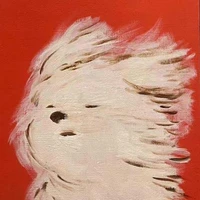 Yi Yang's profile picture