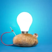 Yedi Hu's profile picture