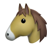 Jinge's profile picture